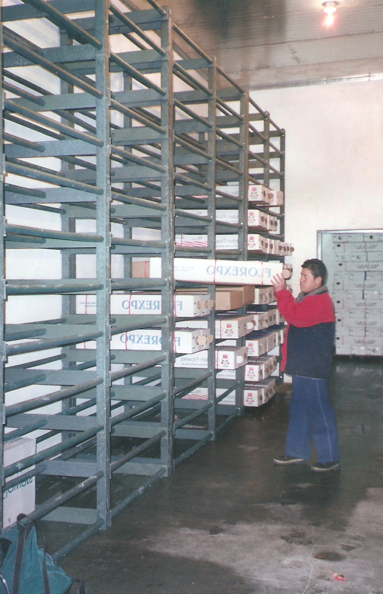 estantería de cuarto frio estante congelación estanterías dentro del frigorífico estanterías para cuartos fríos de conservación flores alimentos estanterías plásticas antiderrames estantes 0008 estantería de cuarto frio estante congelación estanterías dentro del frigorífico estanterías para cuartos fríos de conservación flores alimentos estanterías plásticas antiderrames estantes 0008 estantería de cuarto frio estante congelación estanterías dentro del frigorífico estanterías para cuartos fríos de conservación flores alimentos estanterías plásticas antiderrames estantes 0008 estantería de cuarto frio estante congelación estanterías dentro del frigorífico estanterías para cuartos fríos de conservación flores alimentos estanterías plásticas antiderrames estantes 0008
